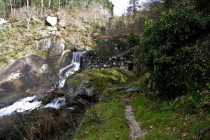 Ruta de los molinos del río Barosa con el río crecido en otoño